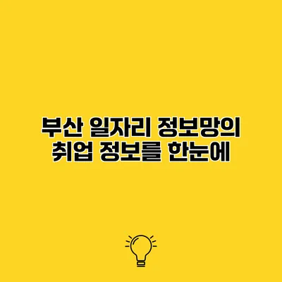 부산 일자리 정보망의 취업 정보를 한눈에