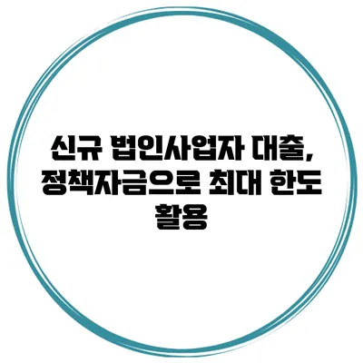 신규 법인사업자 대출, 정책자금으로 최대 한도 활용