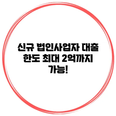 신규 법인사업자 대출 한도 최대 2억까지 가능!