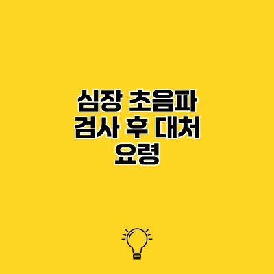 심장 초음파 검사 후 대처 요령