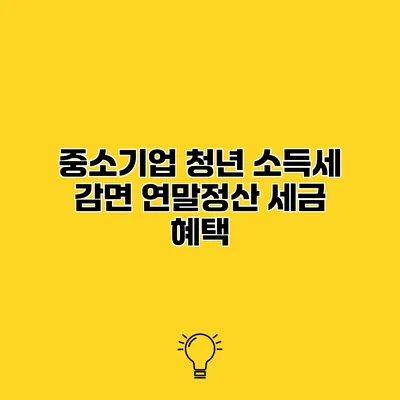 중소기업 청년 소득세 감면 연말정산 세금 혜택